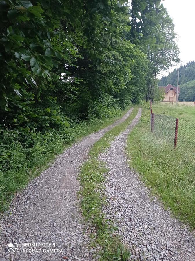 Садиба Брусний Mykulytschyn Exterior foto